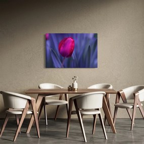 Tulipán bimbó képe (90x60 cm)