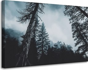 Vászonkép Természet Korona Fák Erdő 90x60 cm