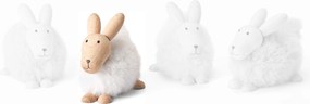 Emily nyúl, fehér - Philippi
