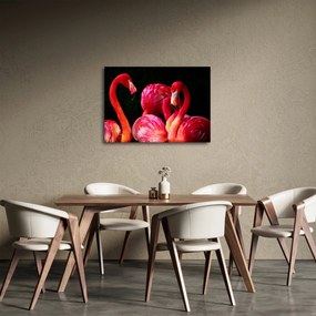 Vörös flamingók képe (70x50 cm)
