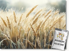 Fotótapéta Flizelina Természet Falu Mező Aratás Szerep Gabona Kalászok 300x210 ragasztó