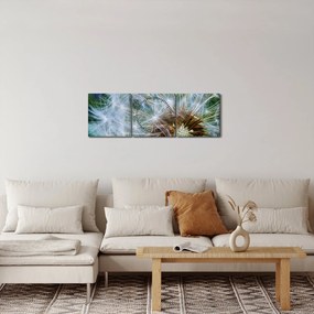 Elvirágzott pitypang képe (órával) (90x30 cm)