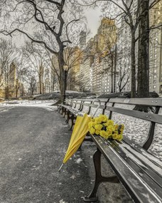 Poszter 40x50cm Egy csokor sárga virág és egy esernyő a park padján, Assaf Fra