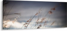 Kép - Rét virágai a tónál (120x50 cm)