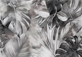 Fotótapéta Monster Levelek Fekete-fehér Falra Hálószoba Nappali 200x140