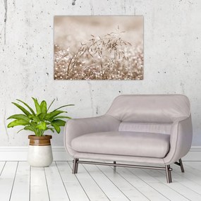 Üveg kép - rét barna árnyalatokban (70x50 cm)