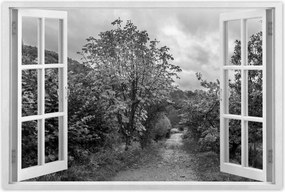 Poszterek 60x40 Őszi tájkép