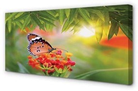 Canvas képek Színes pillangó virágok 100x50 cm