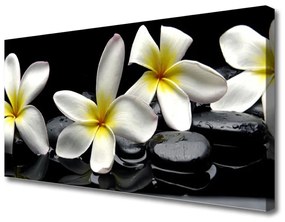 Vászonkép Szép virág Plumeria 100x50 cm