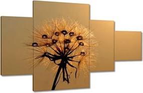 Vászonkép 130x80 Pitypang Virág Virágok