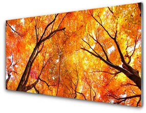 Akrilkép fák Természet 100x50 cm