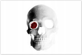 Poszterek 155x105 Koponya rózsával Rózsa