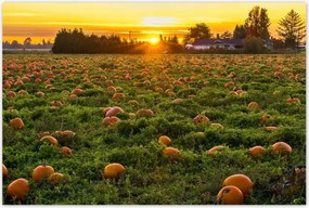 Poszterek 120x80 Tájkép Látvány