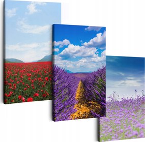 Vászonkép 180 cm **többféle minta** Képek A Nappaliba Triptichon Virágok