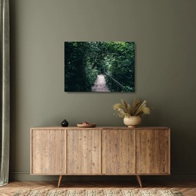 Üveg kép - Az erdőn át vezető út (70x50 cm)