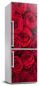Hűtő matrica Vörös rózsa FridgeStick-70x190-f-102803756