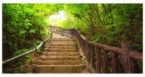 Akril üveg kép Lépcsők az erdőben oah-59535627