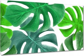 Vászonkép 120x70 Levelek Monstery Trópusok