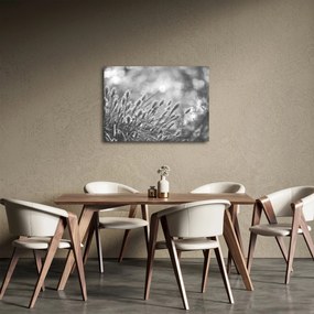 Kép - Bézs színű puha fű N⁰1 (70x50 cm)