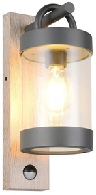 Fali kültéri lámpa (magasság 33 cm) Sambesi – Trio