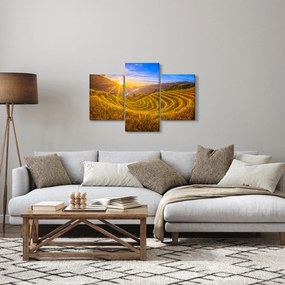 Kép - Rizs teraszok Vietnamban (90x60 cm)