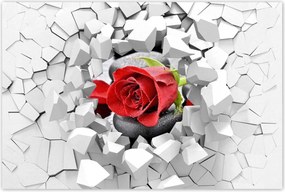 Poszterek 90x60 Vörös rózsa Neki