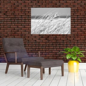 Kép - Strandfű (90x60 cm)