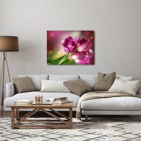 Rózsaszín tulipánok képe (70x50 cm)