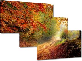 Képek 150x105 Út az erdőben ősz