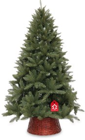 Kaukázusi lucfenyő 2D 150 cm