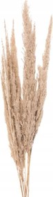 Természetes bézs szárított fűvirág csokor 100 cm