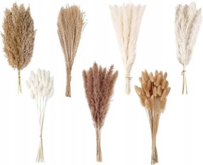 Díszfű Pampas Dekoratív Szárított Pampas Váza Fúvós Csokor