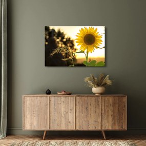 Napraforgó képe (90x60 cm)