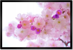 Poszter keretben 60x40 Japán cseresznyefa ág