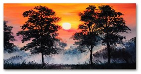 Akril üveg kép Sunset erdő oah-68195364