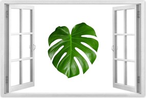 Poszterek 120x80 Monstera Lyukas levelek