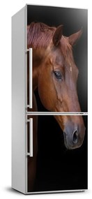 Hűtő matrica Portré egy ló FridgeStick-70x190-f-114030424