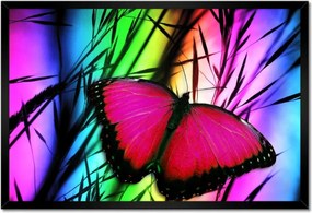 Poszterek keretben 60x40 Pillangó