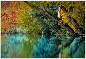 Poszterek 200x135 Őszi táj Folyó