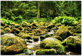 Poszterek 200x135 Tátra Lengyel hegyek Kilátás