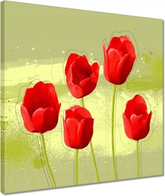 Vászonkép 40x40 Pipacsok Absztrakt