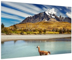 Kép - Torres del Paine Nemzeti Park (90x60 cm)