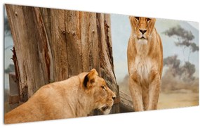 Kép - két oroszlán (120x50 cm)