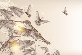Kép - Kolibri (90x60 cm)