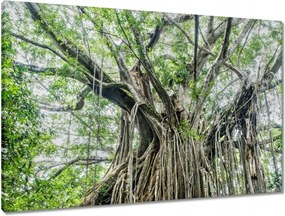 Vászonkép 90x60 Tájkép Látvány