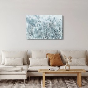 Kép - Téli varázslat (90x60 cm)