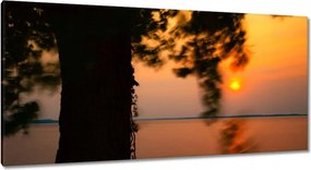 Vászonkép 115x55 Fa Napnyugta