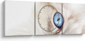 Kép - Cica (órával) (90x30 cm)