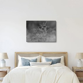 Kép - Vidéki rét (70x50 cm)