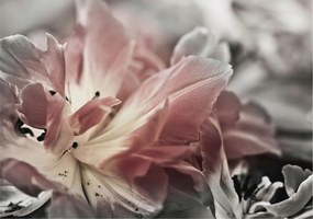 Design fali fotótapéta Flizelin Pasztell virág 208x146 Ragasztó